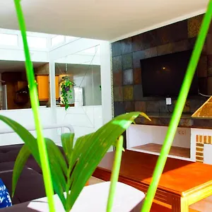 https://casa-tigot-adults-only.puertodelcarmen-hotels.org